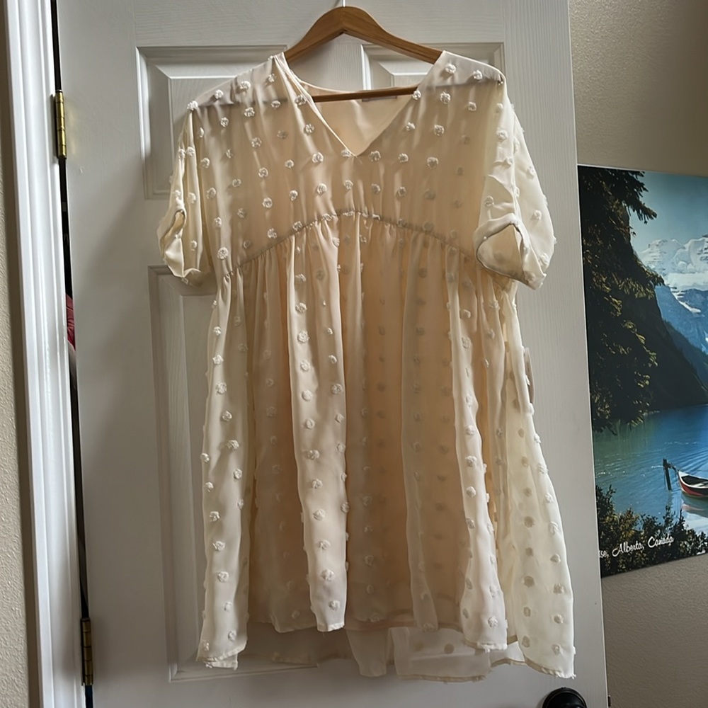 NWT Silver lining Pom babydoll dress